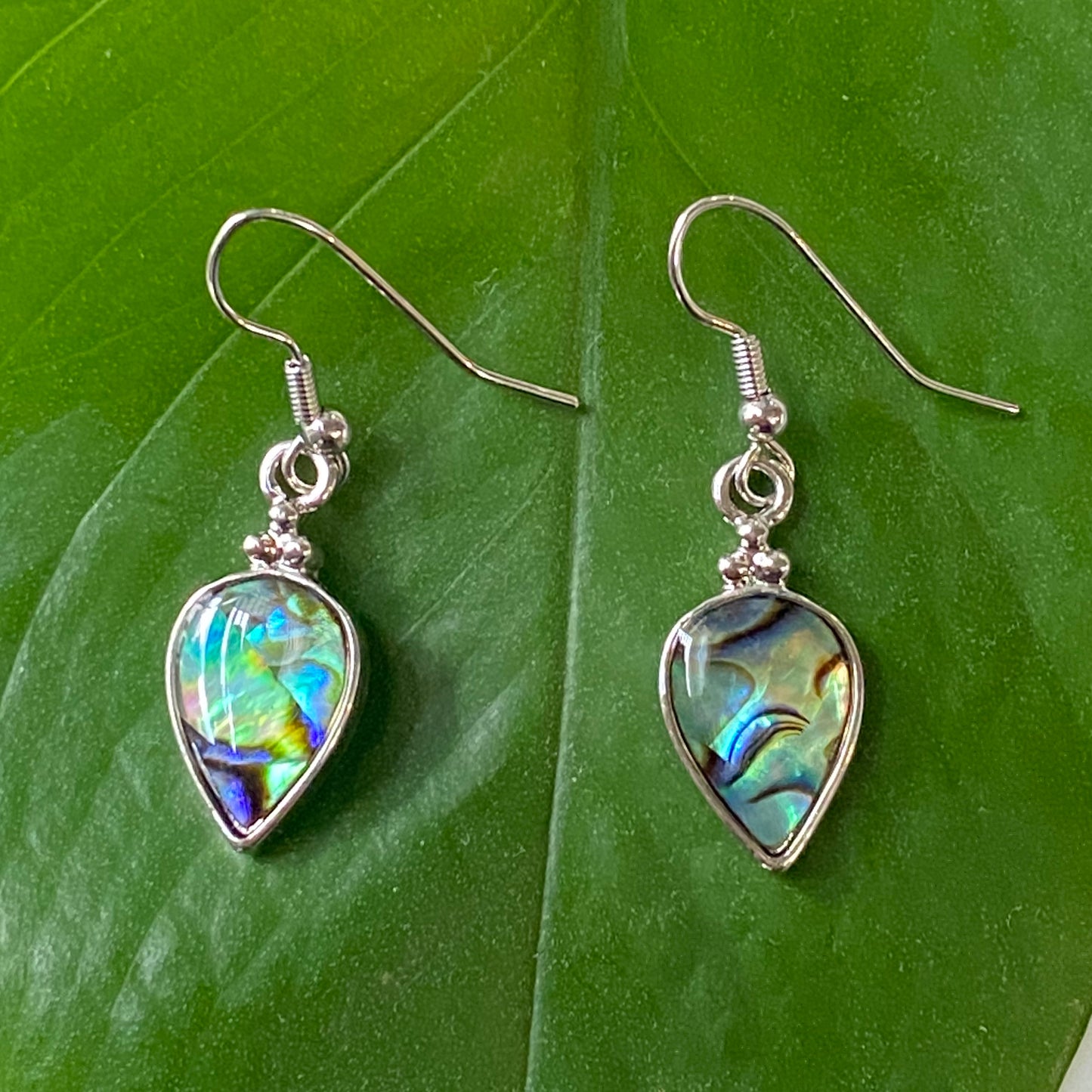 Dangle Pear Shape Abalone Earrings