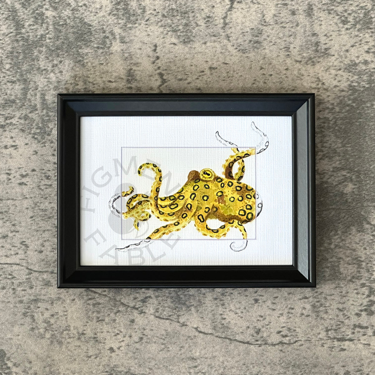 Blue Ringed Octopus Art Print
