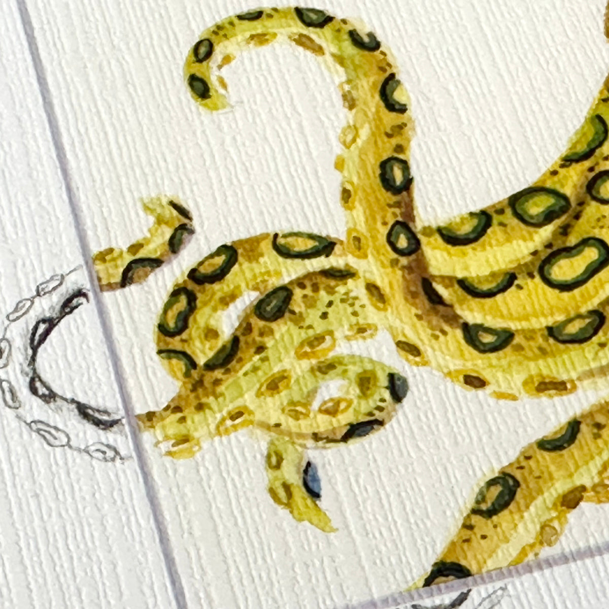 Blue Ringed Octopus Art Print