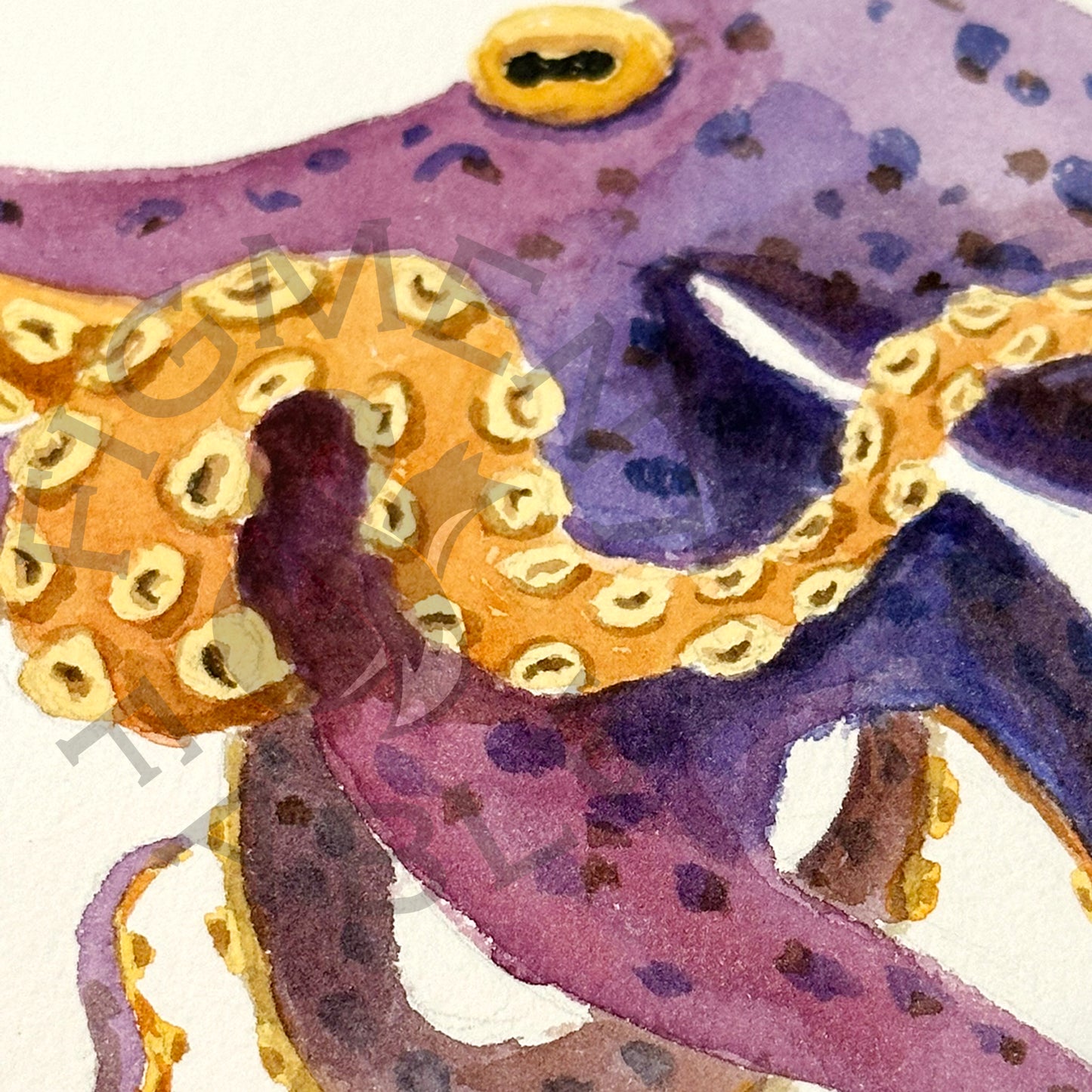 Purple Octopus Art Print