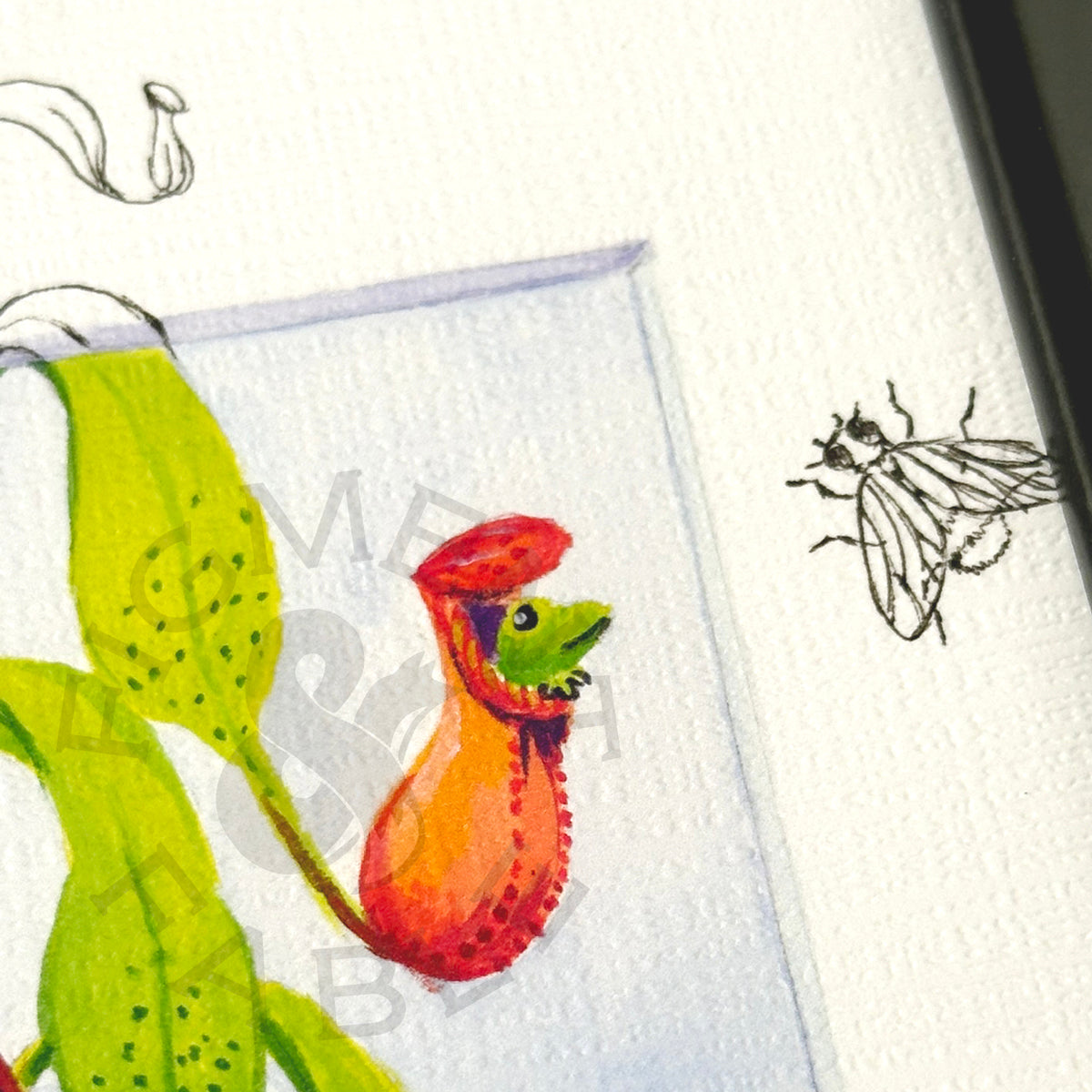 Monster Pitcher Plant Art Print