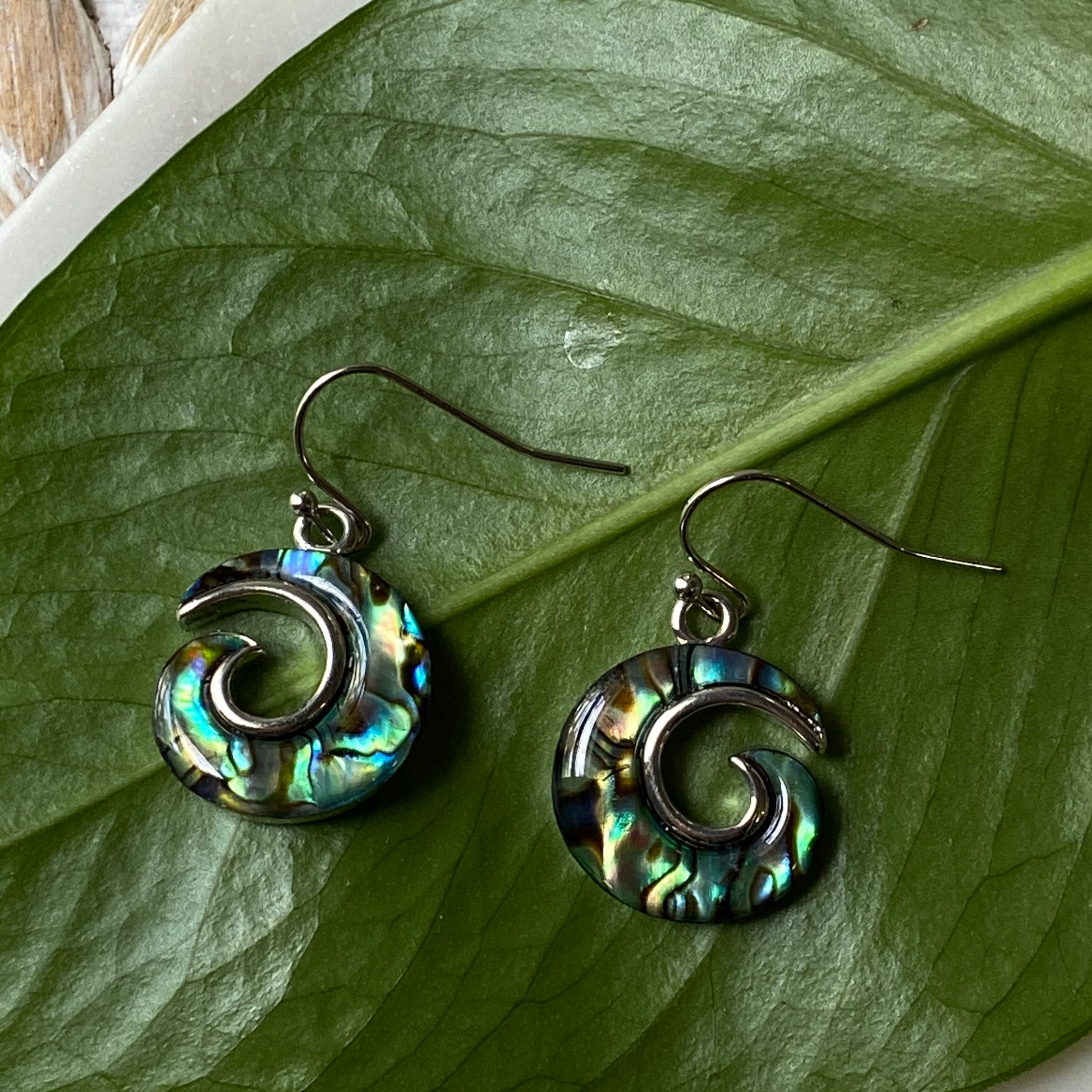 abalone shell swirl earrings on hooks